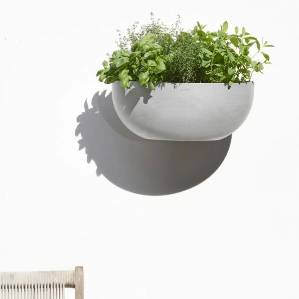 Mounted ceramic wall planters with lush green plants on a white wall