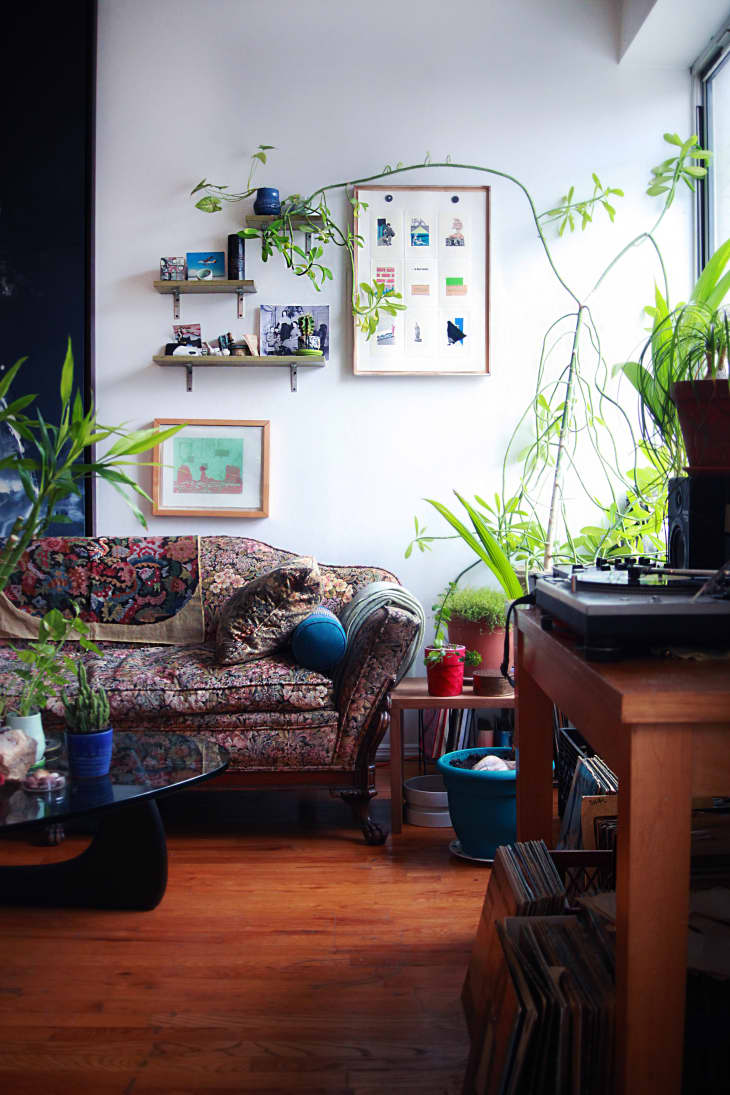 Floating wooden shelves styled with framed art and trailing plants on a white wall