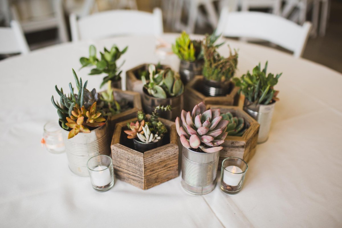 Succulent wedding table centerpiece