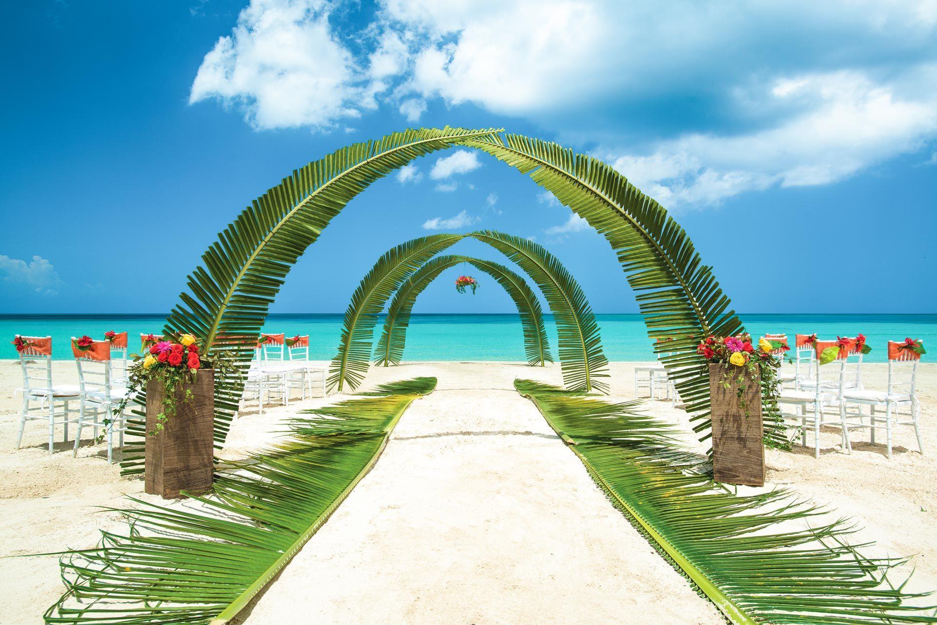 Tropical palm leaf wedding arch outdoors